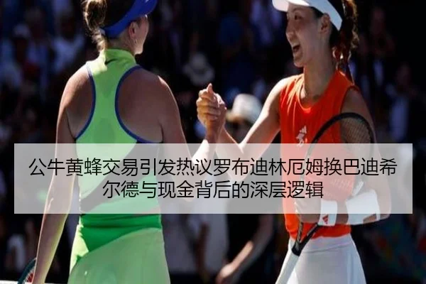 公牛黄蜂交易引发热议罗布迪林厄姆换巴迪希尔德与现金背后的深层逻辑（youbotiyu）